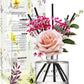 COCODOR Rose Flower Reed Diffuser/Rose Perfume/6.7Oz(200Ml)/1 Pack/Reed Diffuser, Reed Diffuser Set, Oil Diffuser & Reed Diffuser Sticks, Home Decor & Office Decor, Fragrance and Gifts