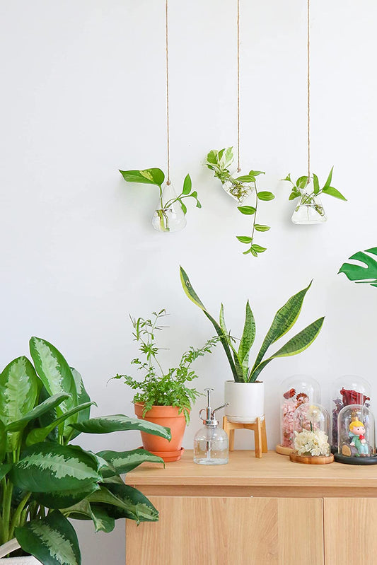 Terrarium Container Flower Planter Hanging Glass for Hydroponic Plants Home Garden Decor -3 Type