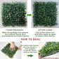 Artificial Green Wall Panel,10"X 10"(12Pcs) Boxwood Faux Grass Wall Panels for Interior Wall, Backdrop Wall,Garden Wall and Indoor Outdoor Plant Wall Decor