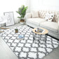 Luxury Shag Area Rug Modern Indoor Plush Fluffy Rugs, Extra Soft and Comfy Carpet, Geometric Moroccan Rugs for Bedroom Living Room Girls Kids Nursery, 5X8 Feet Grey/White