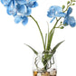 Artificial Flower Bonsai with Glass Vase Vivid Orchid Flowers Arrangement Phalaenopsis Flowers Pot for Home Office Décor Table Centerpiece House Decorations(Glass Vase/Blue Orchid)