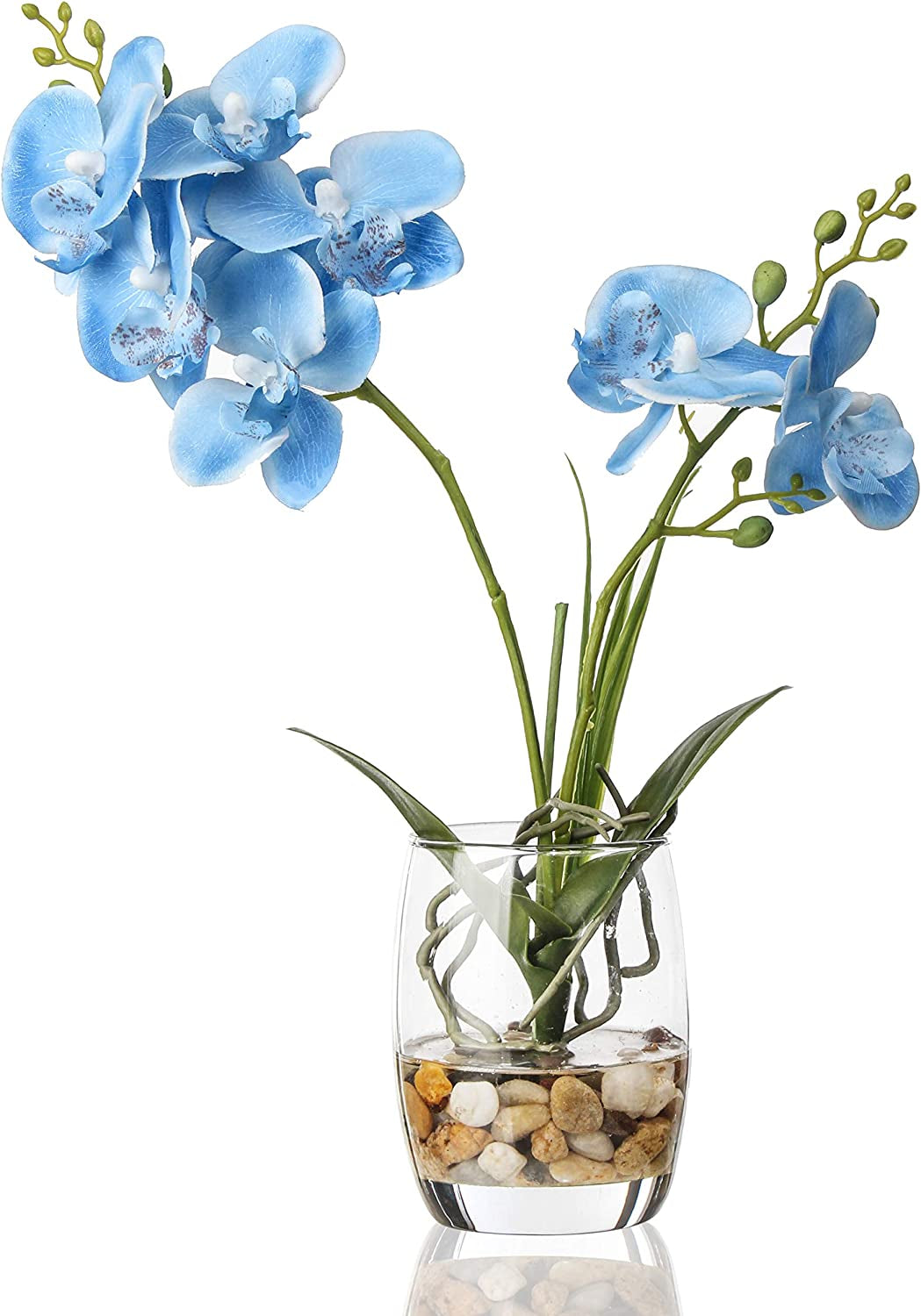 Artificial Flower Bonsai with Glass Vase Vivid Orchid Flowers Arrangement Phalaenopsis Flowers Pot for Home Office Décor Table Centerpiece House Decorations(Glass Vase/Blue Orchid)