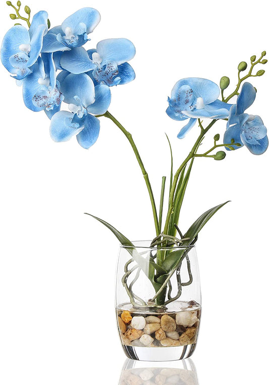 Artificial Flower Bonsai with Glass Vase Vivid Orchid Flowers Arrangement Phalaenopsis Flowers Pot for Home Office Décor Table Centerpiece House Decorations(Glass Vase/Blue Orchid)