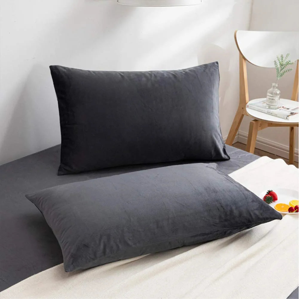 2 Pack Zippered Velvet Queen Pillowcases, Super Soft and Cozy Luxury Fuzzy Flannel Pillow Cases with Zipper, 20X30 Inches, Charcoal Grey