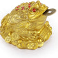 Large Money Toad Statue, Feng Shui Three Legged Toad with Coin, Lucky Charm Wealth Frog for Cash Register, Office Desk , House Warming, Store Opening Gift (Gold)