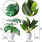 Fake Plants,Artificial Plants 16''Faux Bird of Paradise Plant and Fake Monstera Deliciosa Plant for Home Decor Indoor, Artificial Potted Plants for Office Room Desk Decoration,2 Pack
