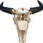 1Pcs Resin Wall Hanging Horn Skulls Steer Bull Head Sculpture Long Horn Cow Skull Wall Hanging Mounted Longhorn Steer Resin Wall Deco (NO.1)