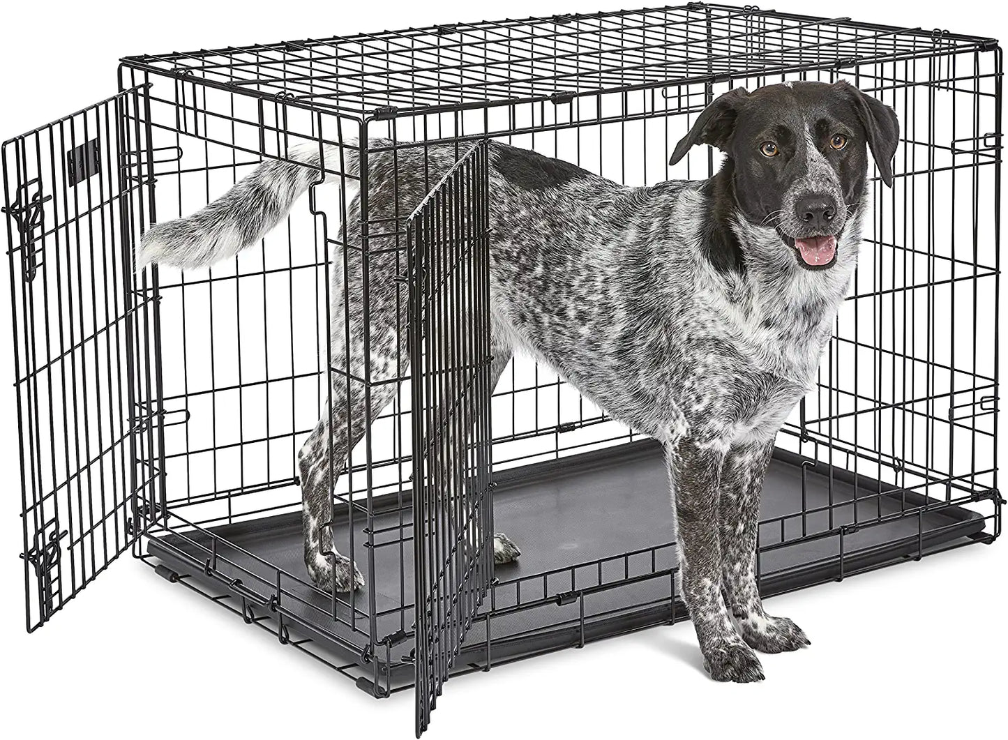 Newly Enhanced Single & Double Door Icrate Dog Crate, Includes Leak-Proof Pan, Floor Protecting Feet, Divider Panel & New Patented Features