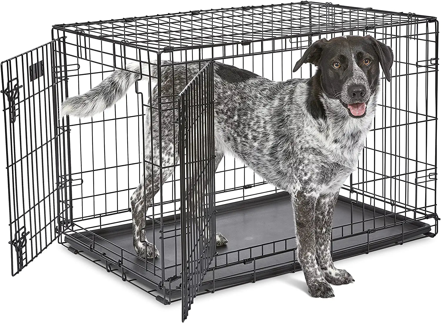 Newly Enhanced Single & Double Door Icrate Dog Crate, Includes Leak-Proof Pan, Floor Protecting Feet, Divider Panel & New Patented Features
