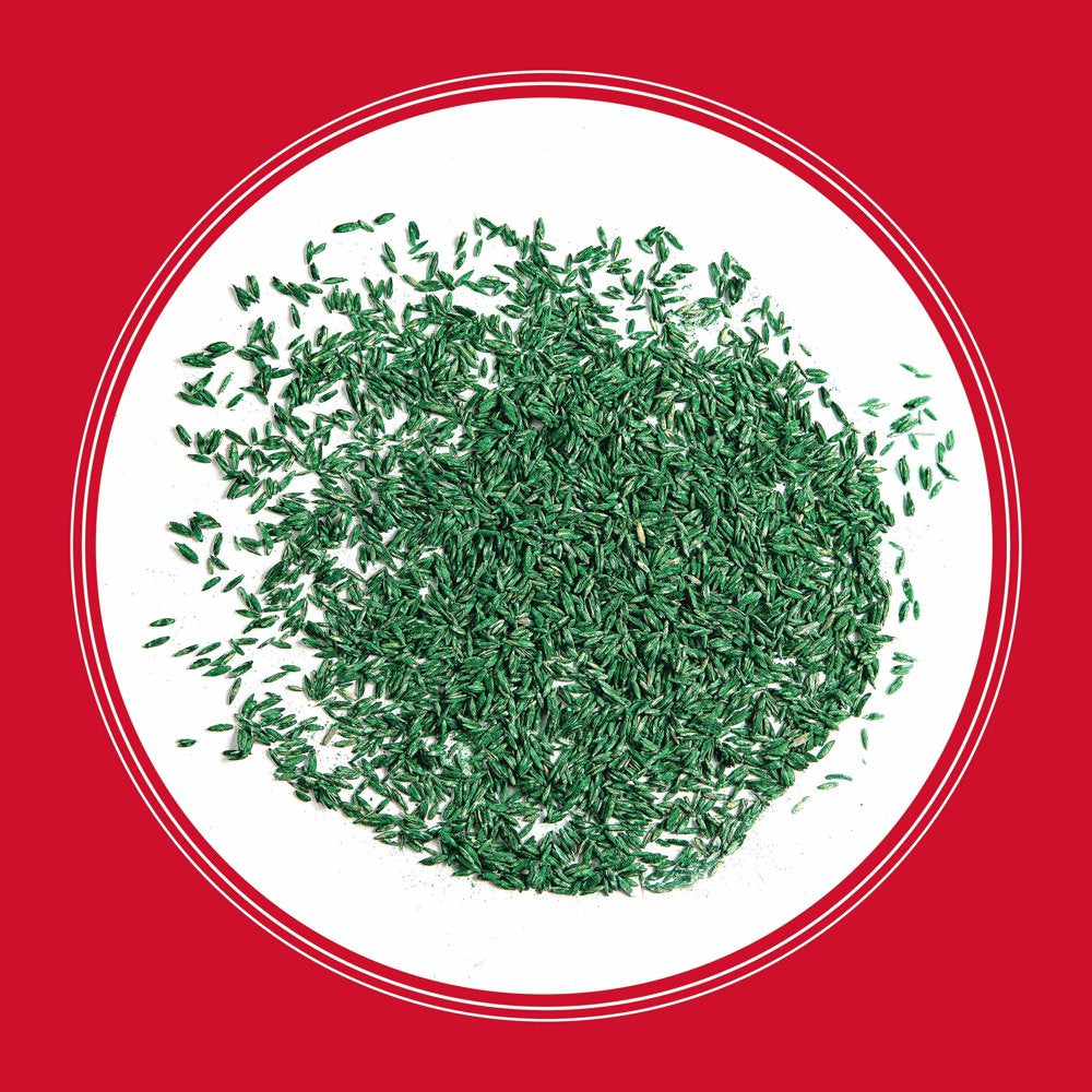 Pennington Rebels Tall Fescue Grass Seed, for Sun to Partial Shade, 3 Lb.