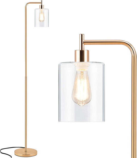 Gold Tall LED Floor Lamp Included Bulb, Modern Standing Lamp with Hanging Glass Shade, Farmhouse Indoor Simple Floor Lamp, Industrial Pole Light for Living Room, Bedroom, Office, Home Decor