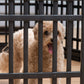 IRIS USA Dog Playpen, Exercise Pet Playpen with Door for Small & Medium Dogs, 4-Panel, 24" H, Black