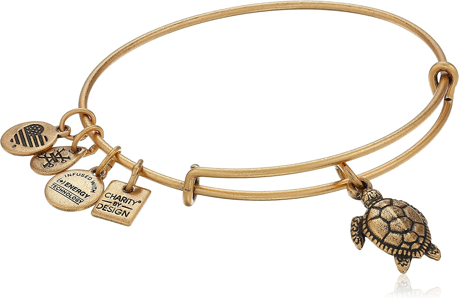 Charity by Design Turtle Rafaelian Bangle Bracelet