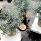 Small Fake Plants Mini Potted Artificial Plants Indoor for Home Office Farmhouse Kitchen Bathroom Table Decor