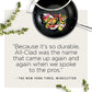 Essentials Nonstick Hard Anodized 8.5 and 10.5-Inch Fry Pans, 2 Piece, Grey