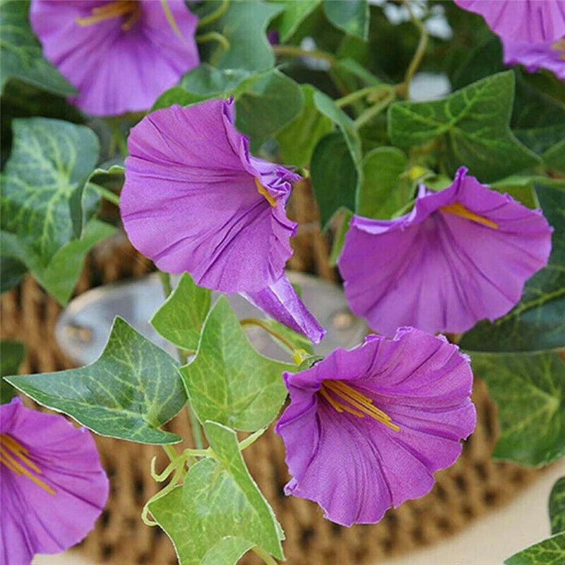 Artificial Hanging Basket Fake Silk Morning Glory Flower Vine Home Wedding Decor