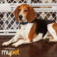 MYPET  40” Paws Portable Pet Gate: Made in USA, Expands & Locks in Place with No Tools. Pressure Mount. Fits 26"-40" Wide (23" Tall, Fieldstone)