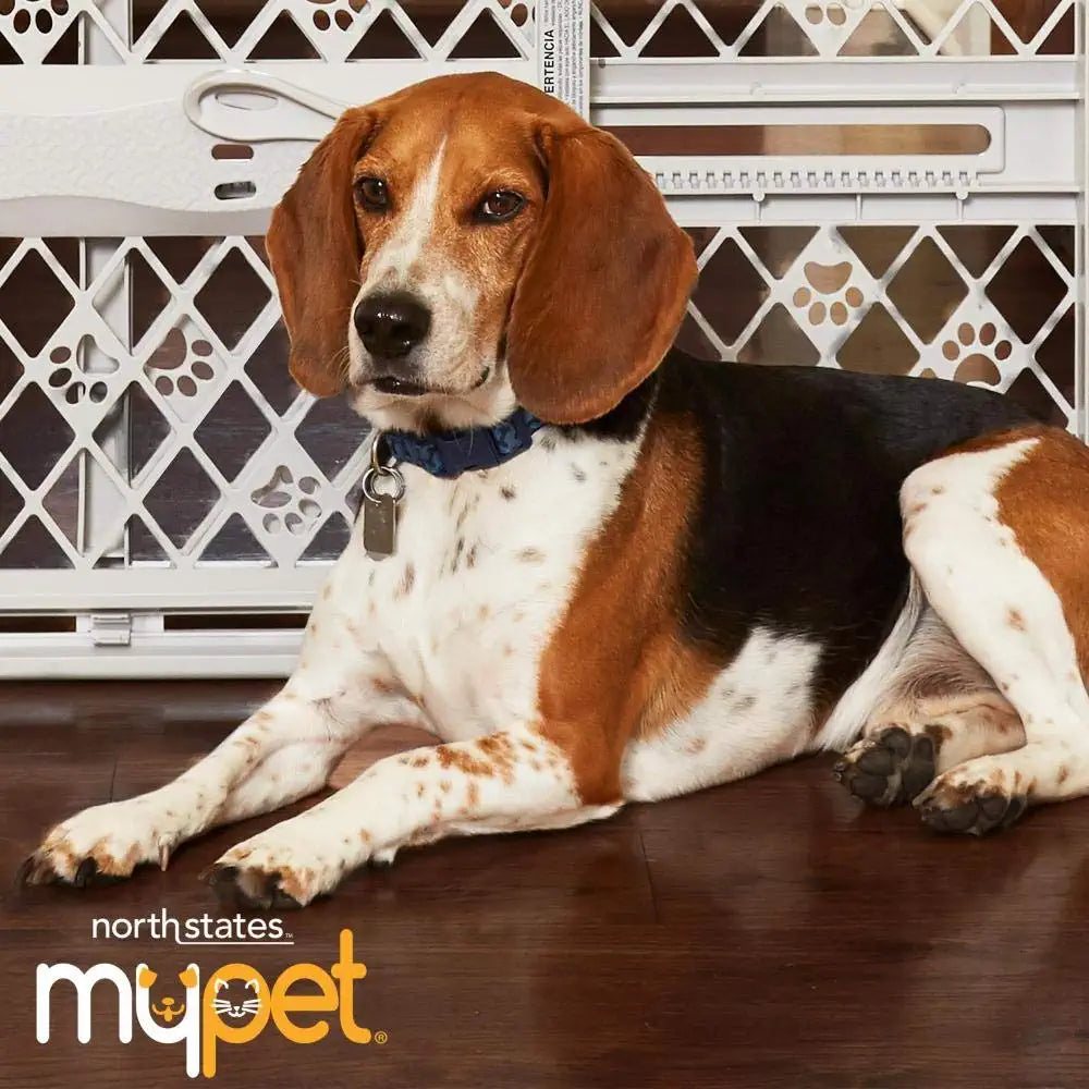 MYPET  40” Paws Portable Pet Gate: Made in USA, Expands & Locks in Place with No Tools. Pressure Mount. Fits 26"-40" Wide (23" Tall, Fieldstone)
