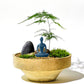 Yoga Pose Statue Zen Decor Figurine Ceramic Blue Yoga Figure Sculpture for Home Desk Decor, 2.1 Inch X 3.3 Inch, 1 PCS