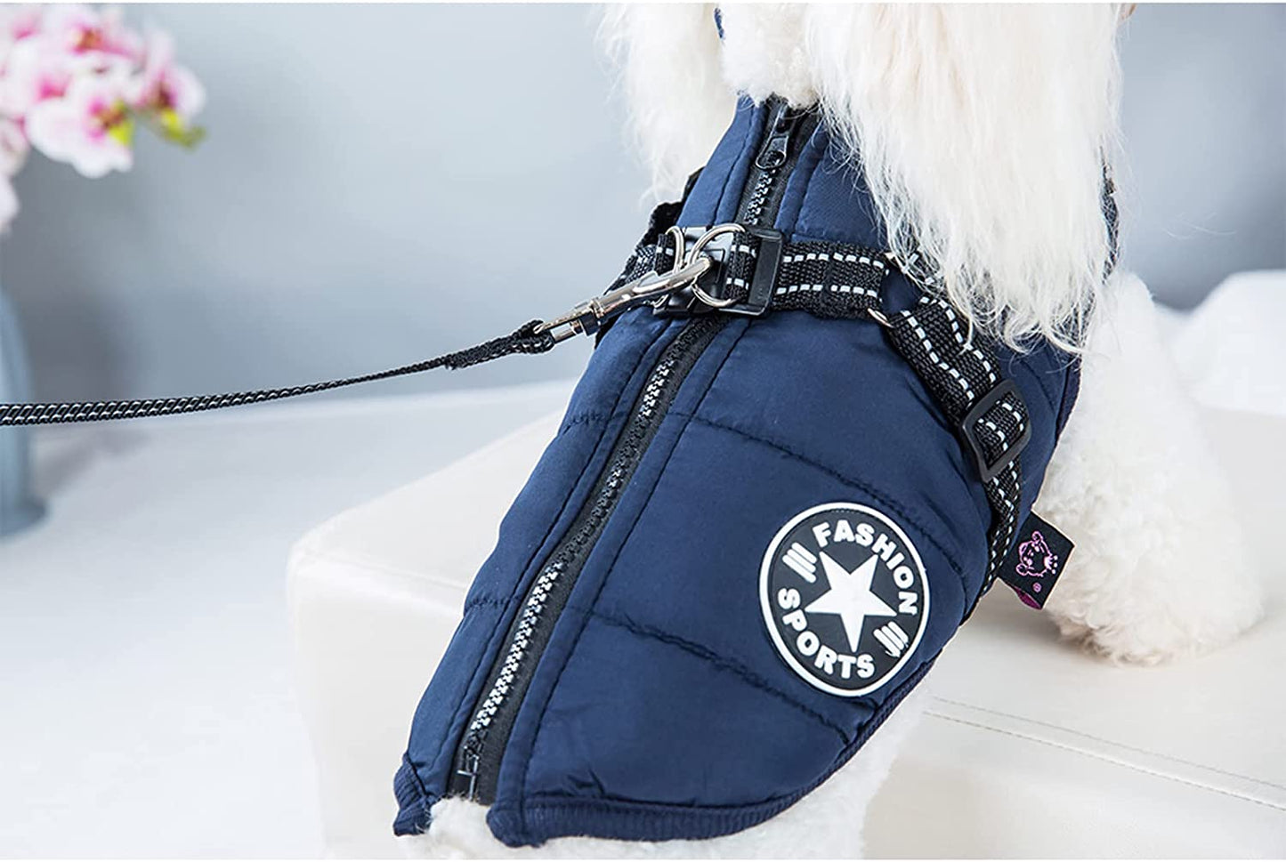 Pet Jacket, Dog Coat Harness Winter Warm Vest Jacket Waterproof Cotton Costume for Puppy Small Medium Dogs (M, Blue)