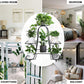 Metal Plant Stand Indoor Outdoor Multiple 6 Tier Tall Corner Flower Pot Holder Stands Shelf Rack Wrought Iron Tiered Planter Shelves for Patio, Living Room, Garden, Balcony, Black
