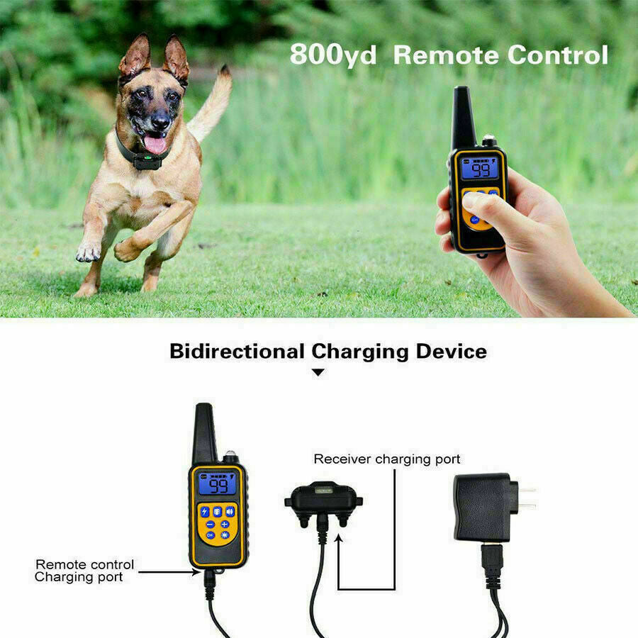 2625 FT Remote 2 Dogs Shock Training Collar Rechargeable Waterproof Pet Trainer