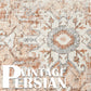 JINCHAN Area Rug 4X6 Persian Rug Vintage Rug Indoor Floor Cover Print Distressed Carpet Brick Red Multi Thin Rug Chenille Mat Foldable Accent Rug Lightweight Kitchen Living Room Bedroom Dining Room