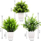 3Pack Mini Fake Plants in Pots,Artificial Plastic Eucalyptus Plants,Wheat Grass Potted Faux Plants Indoor for Office Desk Coffee Table Bathroom Bedroom Home Decorations