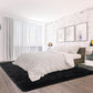 Modern Fluffy Area Rug 5X8 Feet Black Rug Plush Rugs for Living Room Bedroom Shag Rugs Dorm Decor for College Kid Rug Fuzzy Carpet for Boys Girls Home Decor Large Throw Rug Non-Slip