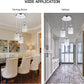 NOPTEG 3 Lights Modern Petal Ceiling Light LED Pendant Lamp Dining Room Chandelier (White)