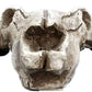 1Pcs Resin Wall Hanging Horn Skulls Steer Bull Head Sculpture Long Horn Cow Skull Wall Hanging Mounted Longhorn Steer Resin Wall Deco (NO.1)