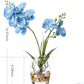Artificial Flower Bonsai with Glass Vase Vivid Orchid Flowers Arrangement Phalaenopsis Flowers Pot for Home Office Décor Table Centerpiece House Decorations(Glass Vase/Blue Orchid)