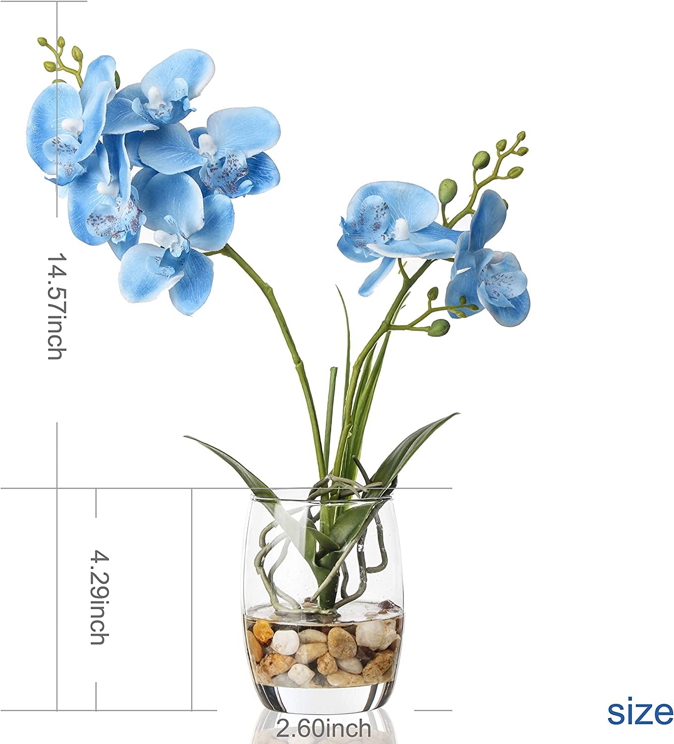 Artificial Flower Bonsai with Glass Vase Vivid Orchid Flowers Arrangement Phalaenopsis Flowers Pot for Home Office Décor Table Centerpiece House Decorations(Glass Vase/Blue Orchid)