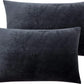 2 Pack Zippered Velvet Queen Pillowcases, Super Soft and Cozy Luxury Fuzzy Flannel Pillow Cases with Zipper, 20X30 Inches, Charcoal Grey