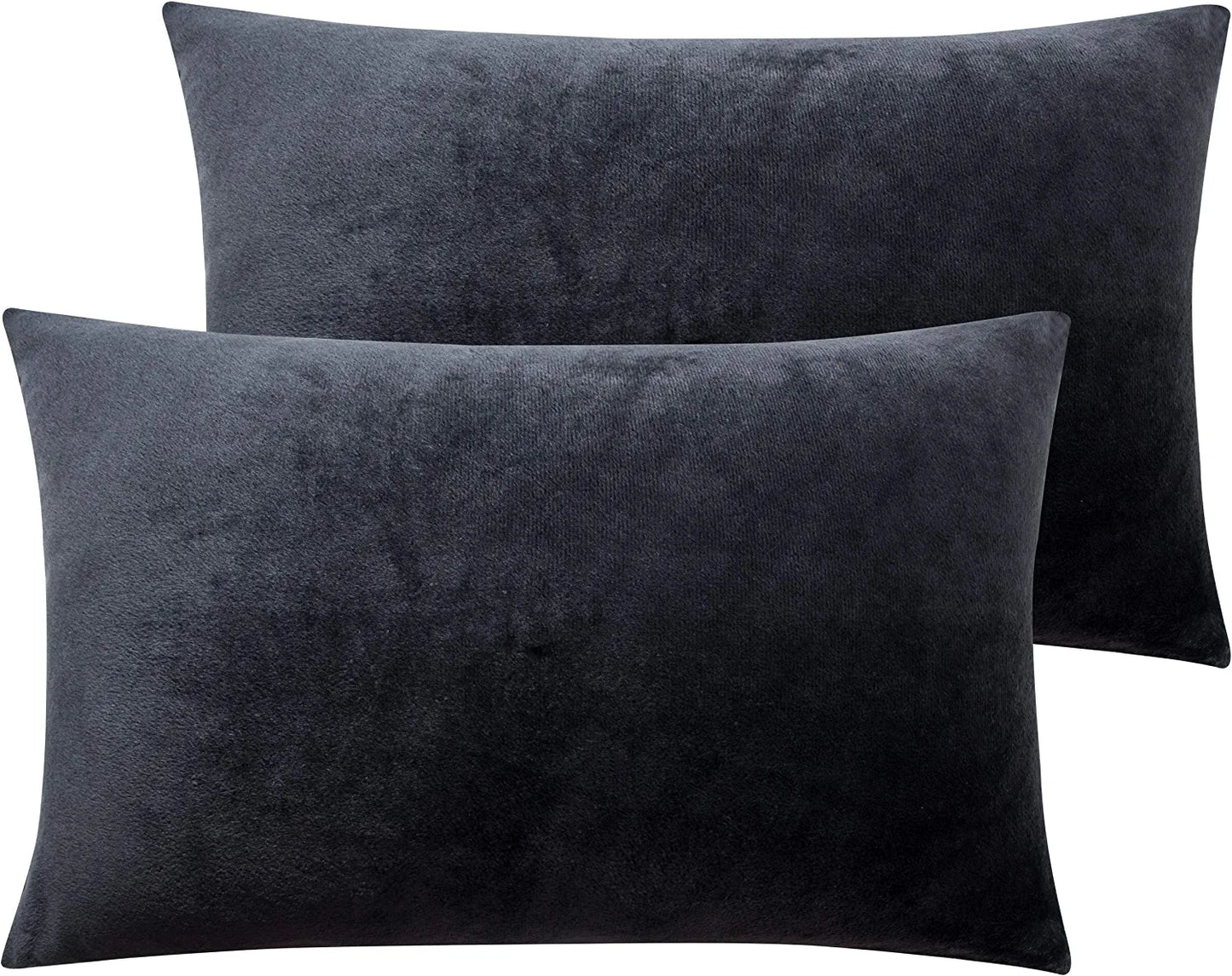 2 Pack Zippered Velvet Queen Pillowcases, Super Soft and Cozy Luxury Fuzzy Flannel Pillow Cases with Zipper, 20X30 Inches, Charcoal Grey