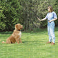 1000 FT Remote Dog Shock Training Vibration Collar Rechargeable LCD Pet Trainer