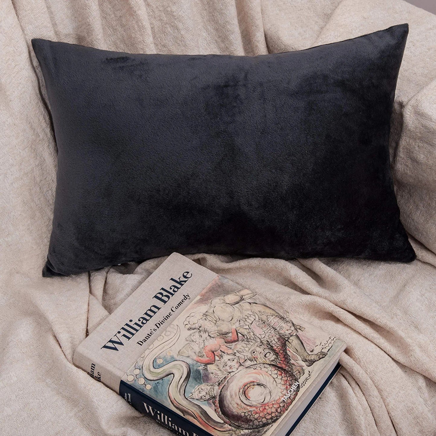 2 Pack Zippered Velvet Queen Pillowcases, Super Soft and Cozy Luxury Fuzzy Flannel Pillow Cases with Zipper, 20X30 Inches, Charcoal Grey