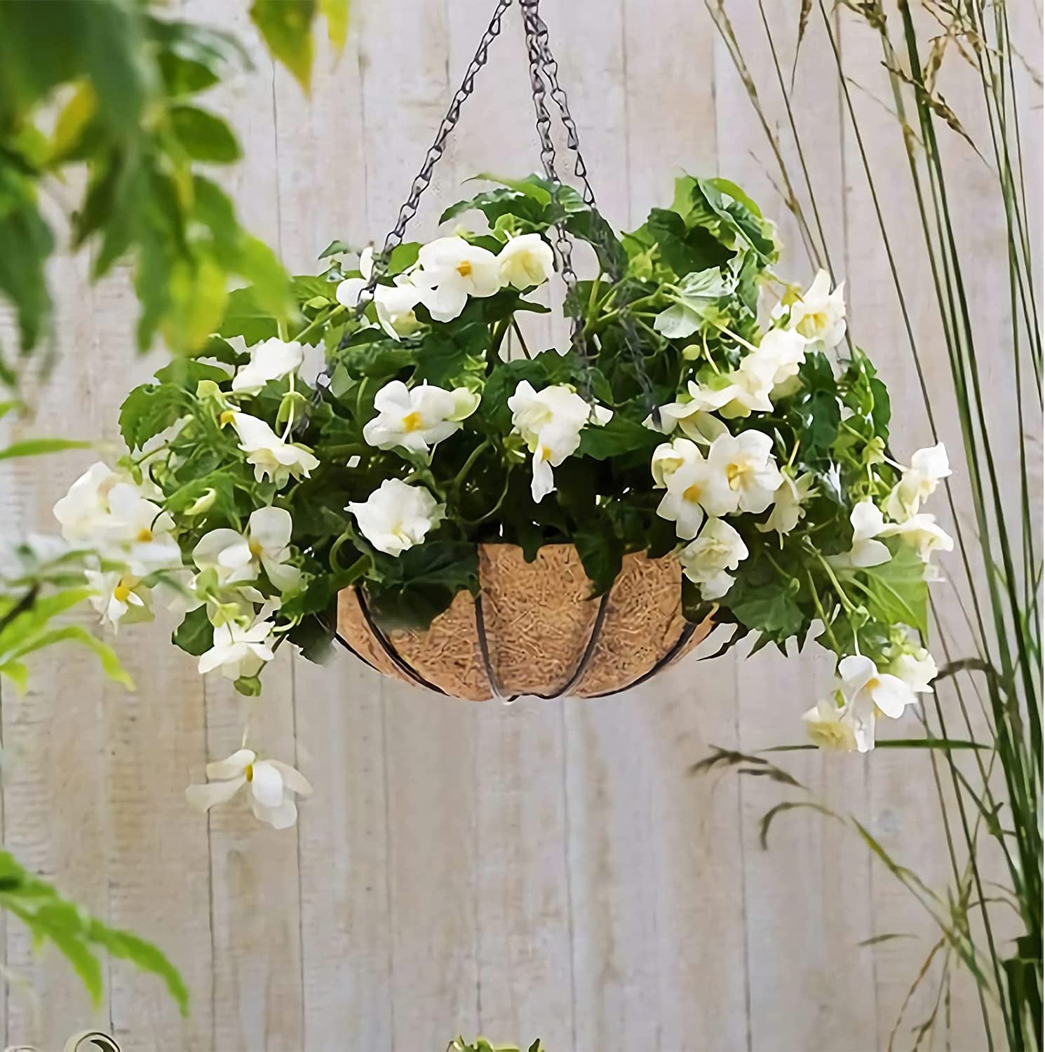 2 Pack Metal Hanging Planter Basket with Coco Coir Liner Chain round Wire Plant Holder Flower Pots Hanger Garden Decoration Porch Decor Watering Hanging Baskets Indoor Outdoor (12INCH)