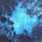 Forest Starry Tapestry Wall Hanging 3D Printing Forest Tapestry Galaxy Tapestry Forest Milky Way Tapestry Tree Tapestry Night Sky Tapestry Wall Tapestry for Dorm Living Room Bedroom (M, 4#Forest Star)
