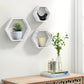 Wall Mounted Hexagon Floating Shelves, Wooden Wall Organizers Hanging Shelf for Home Decor, Set of 3, Rustic White