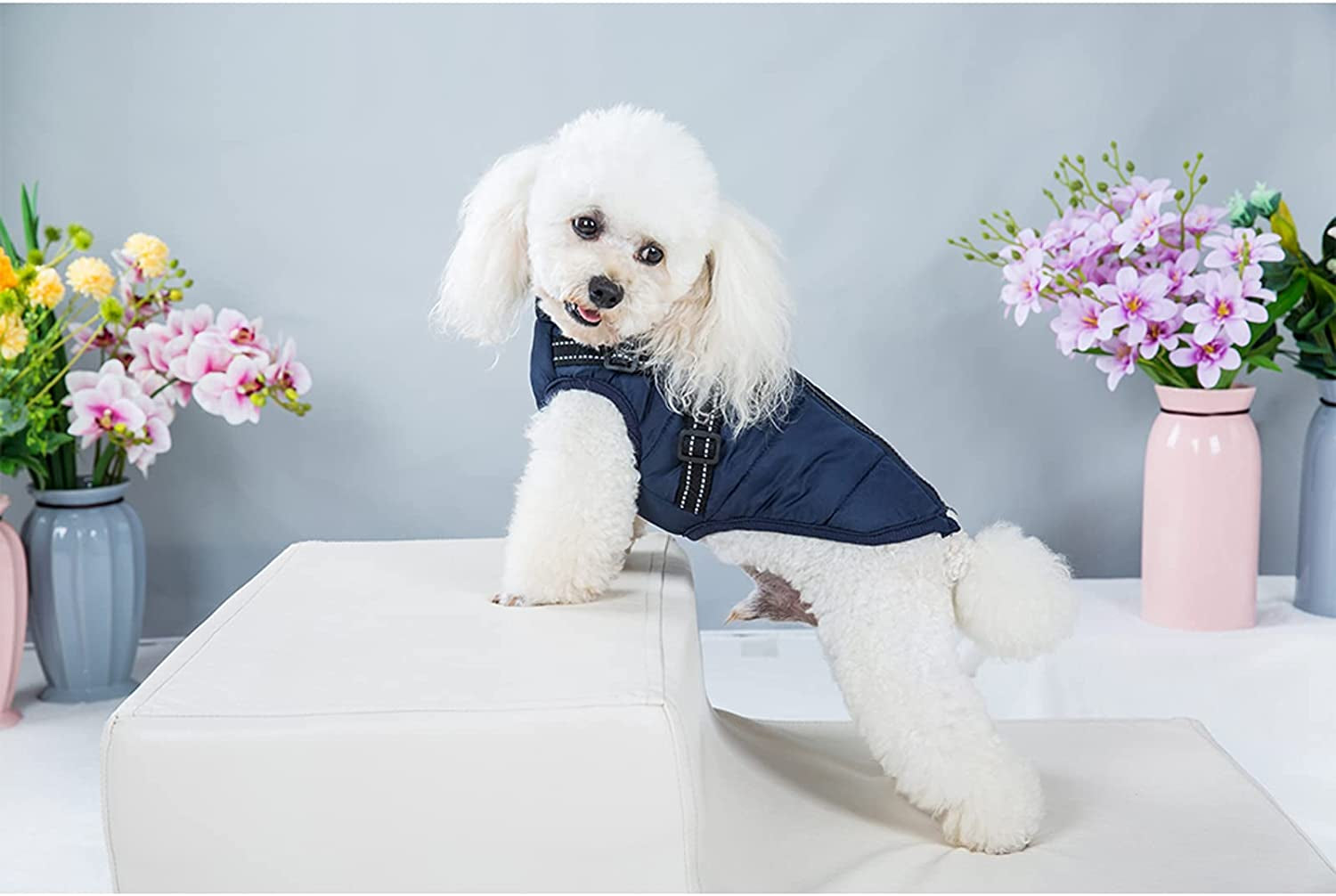 Pet Jacket, Dog Coat Harness Winter Warm Vest Jacket Waterproof Cotton Costume for Puppy Small Medium Dogs (M, Blue)