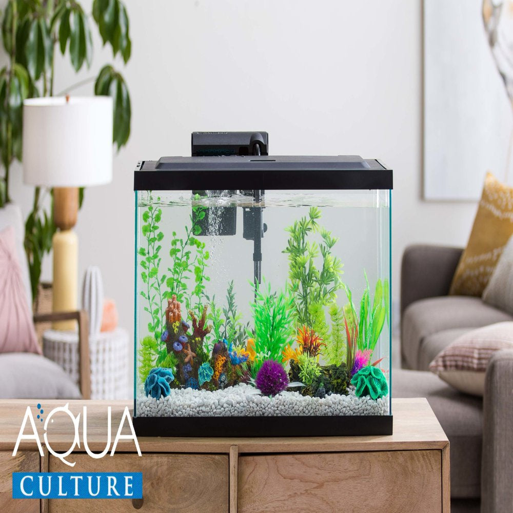 Aquaculture Aquarium 10 Gallon 10 Gallon