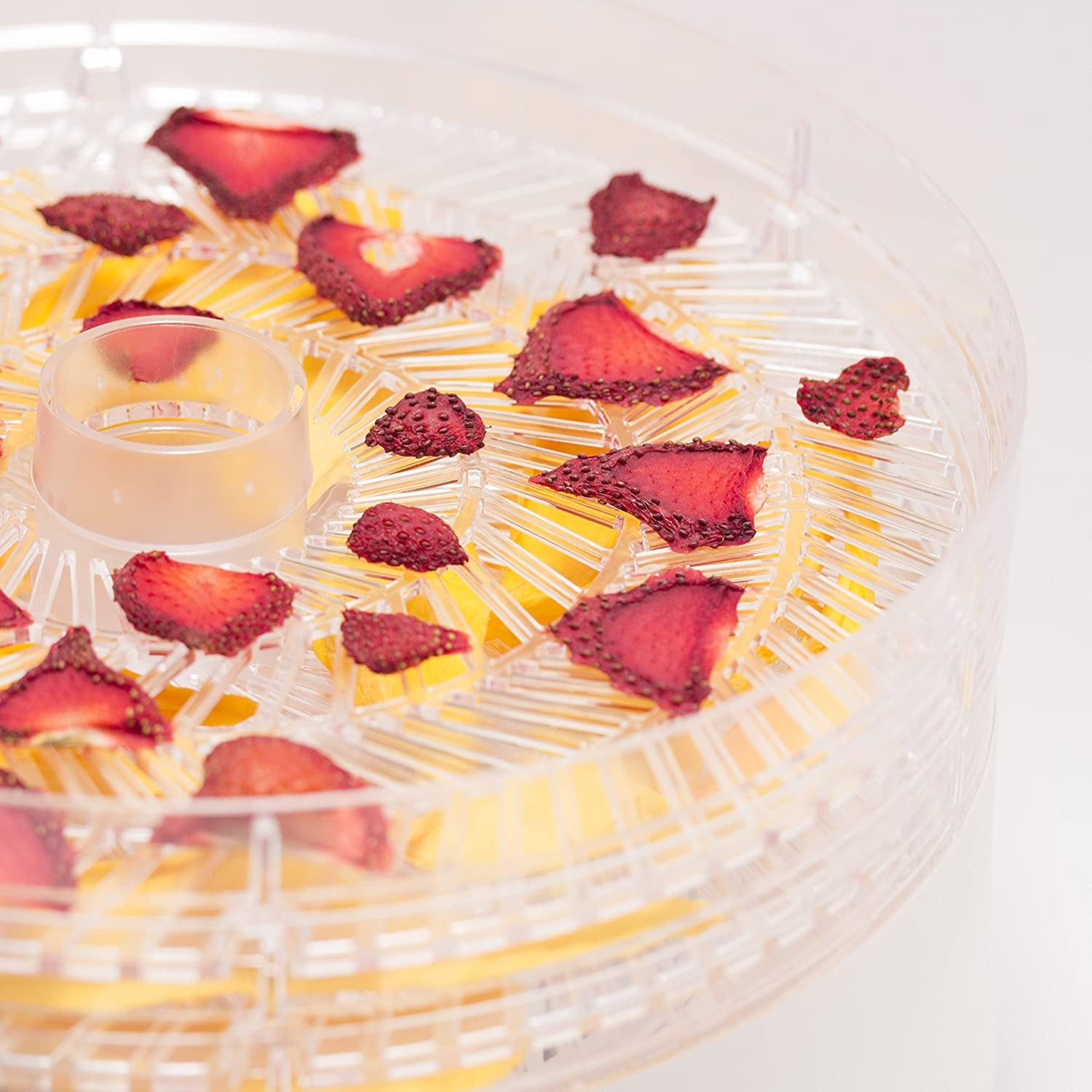Food Dehydrator, Dehydrator for Food and Jerky, Freeze Dryer, CCD100W6, 280 Watts, White