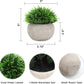 2 Pcs Fake Plants for Bathroom/Home Office Decor, Small Artificial Faux Greenery for House Decorations (Potted Plants)