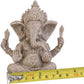 Elephant Statue Sculpture Sandstone Ganesha Buddha Handmade Figurine