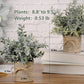 Small Fake Plants Mini Potted Artificial Plants Indoor for Home Office Farmhouse Kitchen Bathroom Table Decor