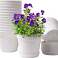 Pots for Plants, 15 Pack 6 Inch Plastic Planters with Multiple Drainage Holes and Trays - Plant Pots for All Home Garden Flowers Succulents (White)