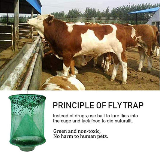 Ranch Fly Trap with Bait Tray, Reusable Fly Trap Fly Catcher Cage for Indoor or Outdoor Family Farms, Park, Restaurants (4)