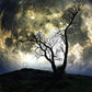 Moon Tapestry Galaxy Tapestry Tree Tapestry Starry Sky Tapestry Mystic Psychedelic Art Tapestry Wall Hanging for Home Decor(H51.2×W59.1 Inches)