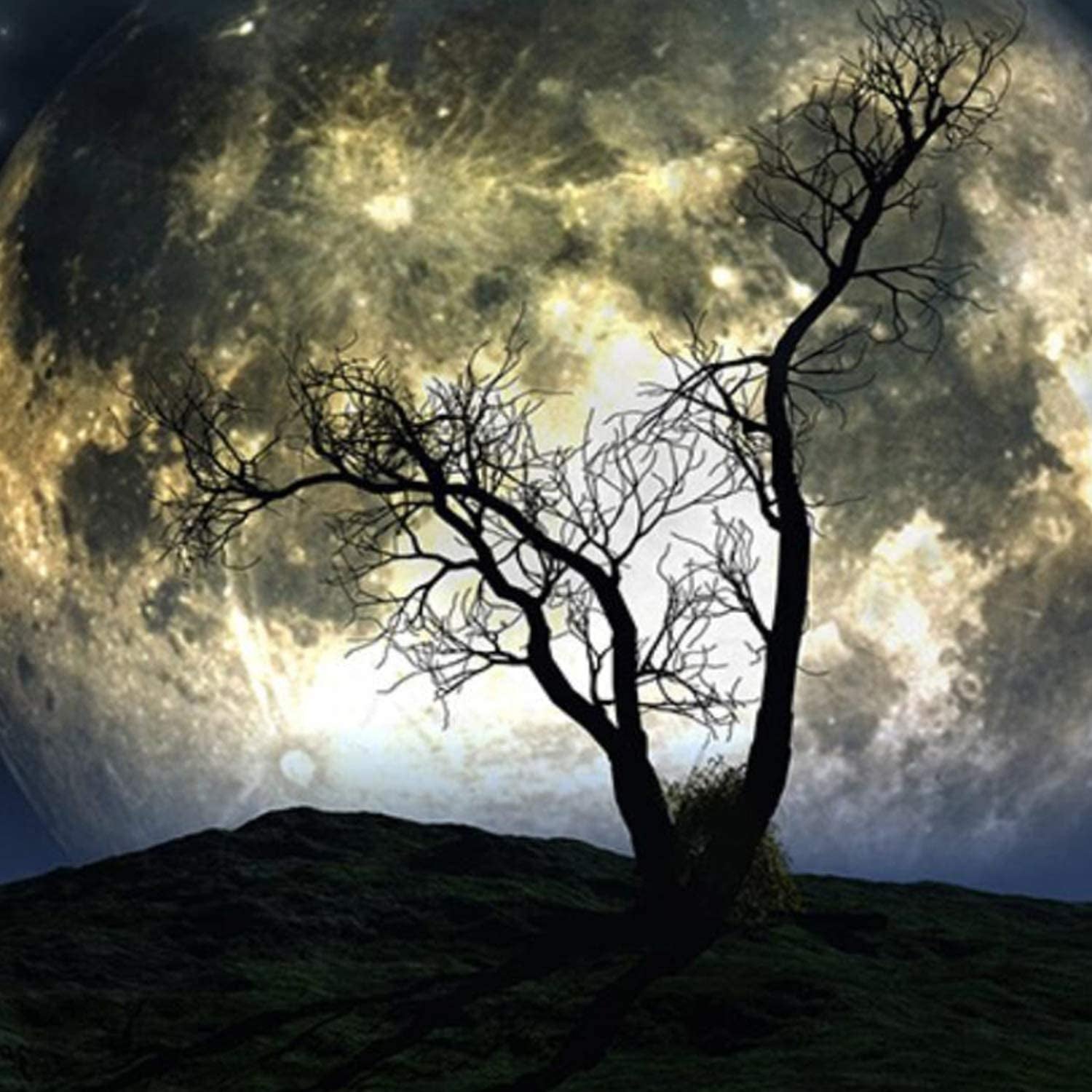 Moon Tapestry Galaxy Tapestry Tree Tapestry Starry Sky Tapestry Mystic Psychedelic Art Tapestry Wall Hanging for Home Decor(H51.2×W59.1 Inches)